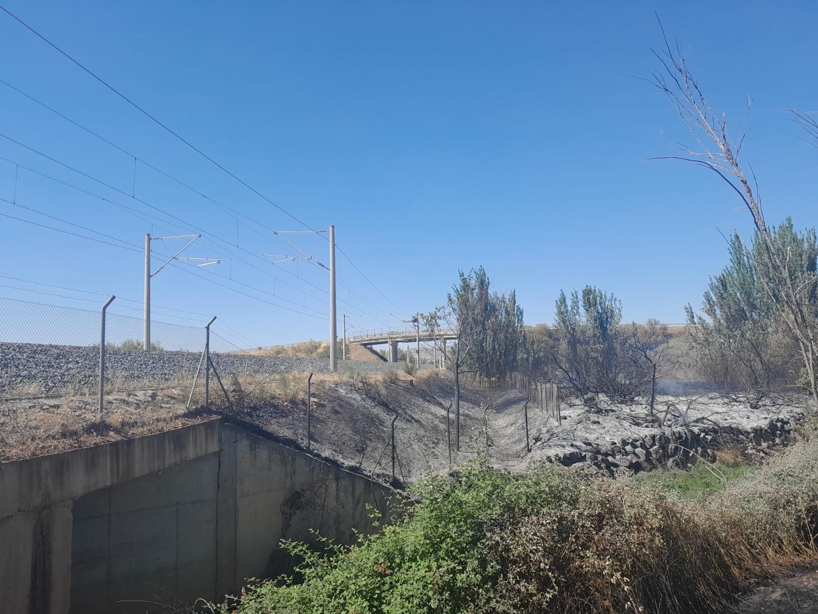 Zona quemada próxima a las vías del tren.