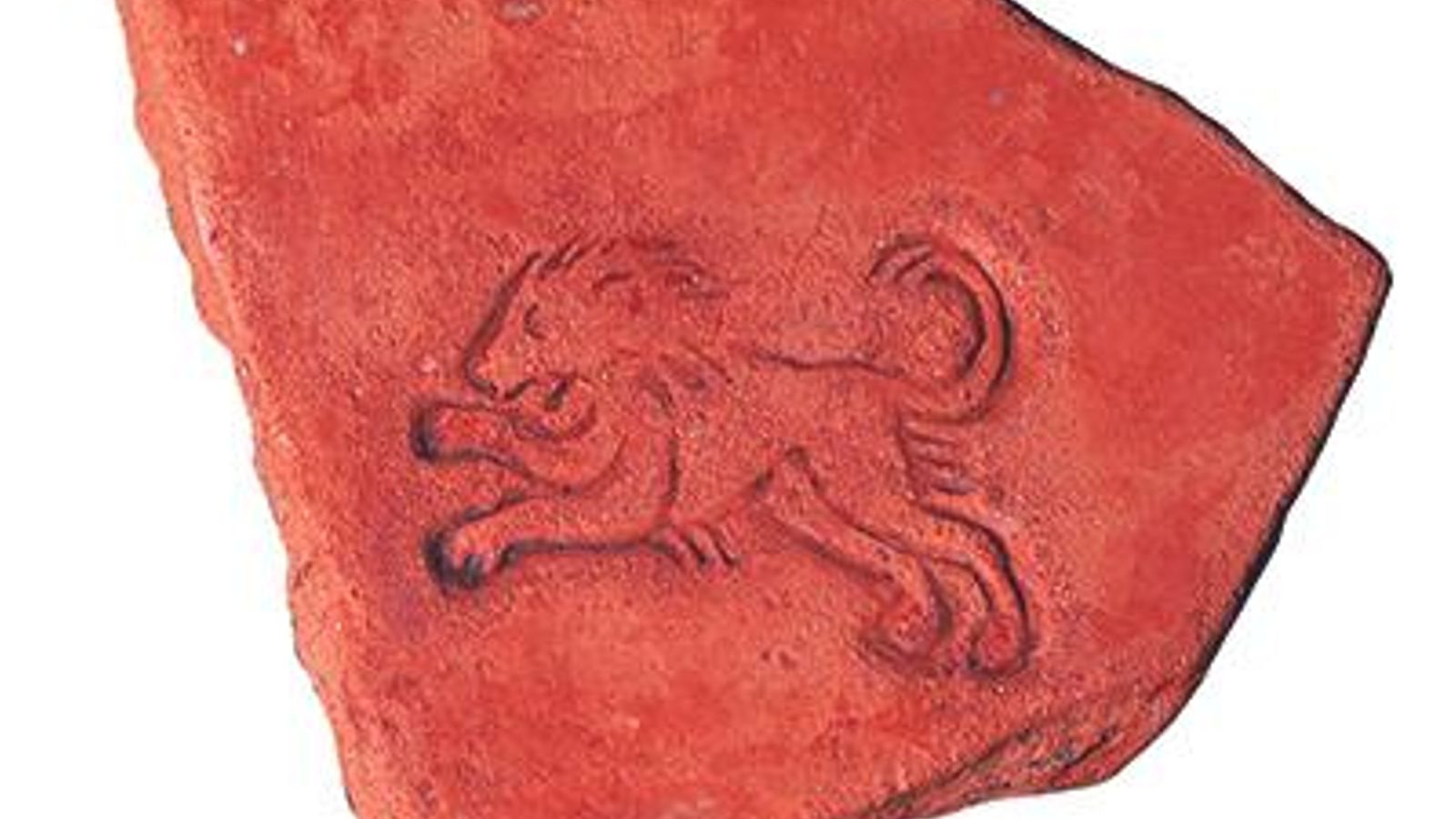 Fragmento de “terra sigillata” africana (siglos II-III d.C.) con la impronta de un león rampante hallado en la factoría de la calle San Nicolás.