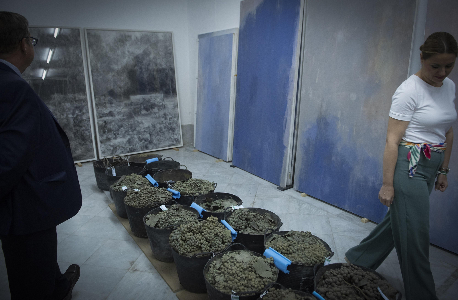 El CAAC incorpora a su colección ocho obras de la artista Carmen Laffón