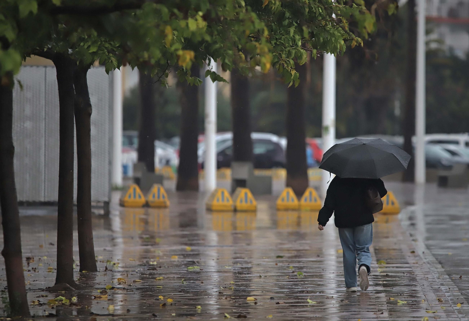 Fotos de la lluvia provocada por la borrasca atlántica en Algeciras