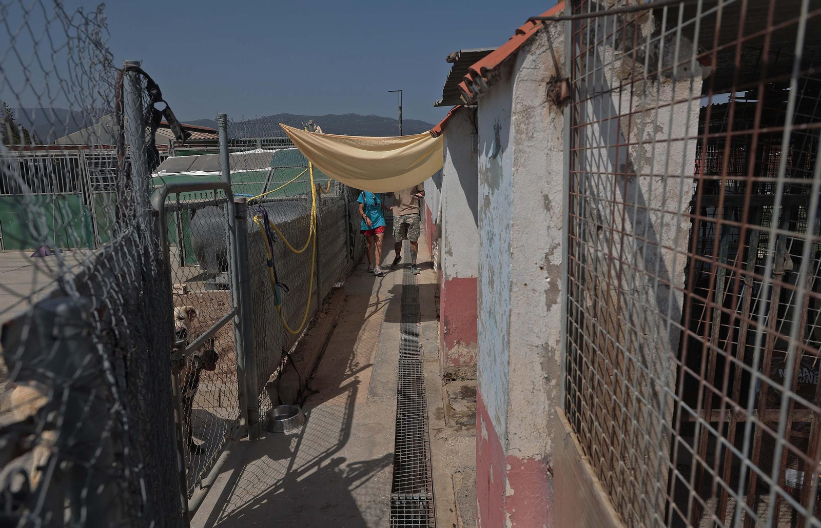 Imágenes de la protectora de animales del Campo de Gibraltar en Los Barrios