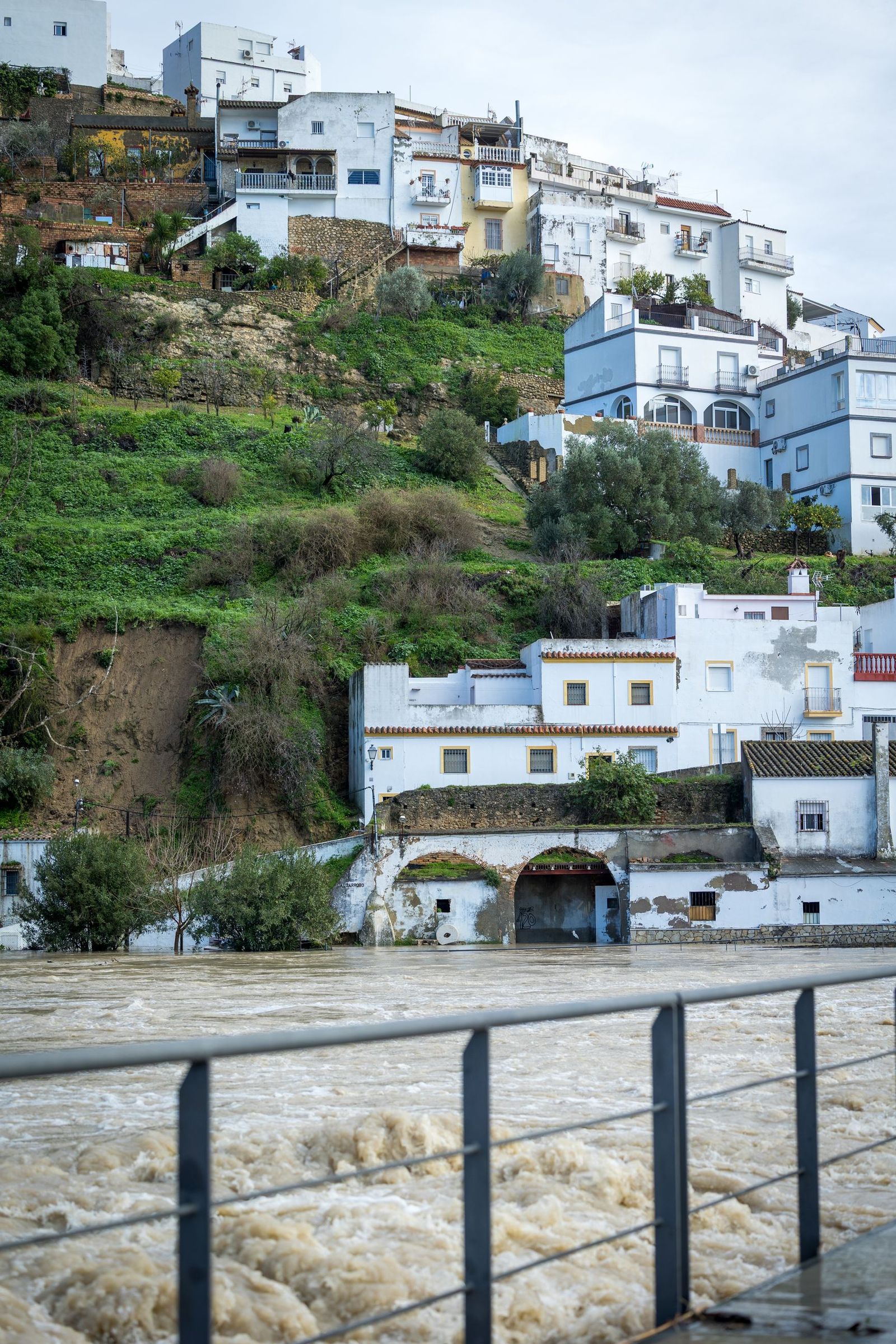 Las imágenes de las inundaciones en Arcos: la espectacular crecida del río Guadalete por la apertura de las presas