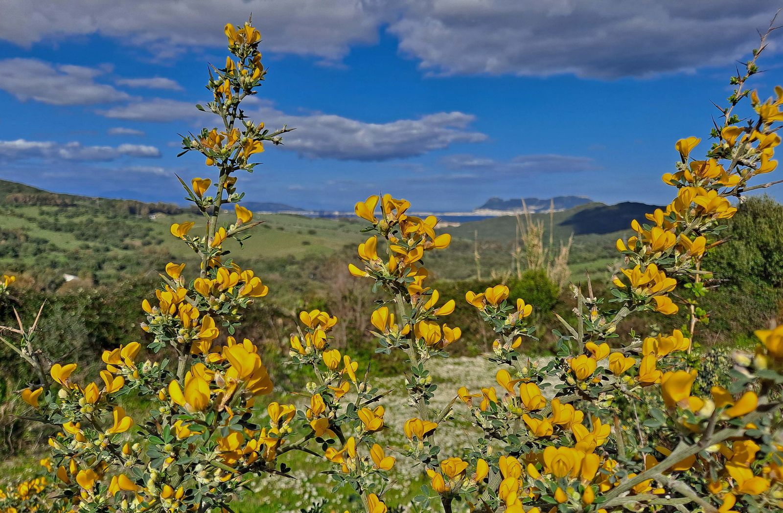 Fotos del sendero de la Garganta de Marchenilla en Algeciras