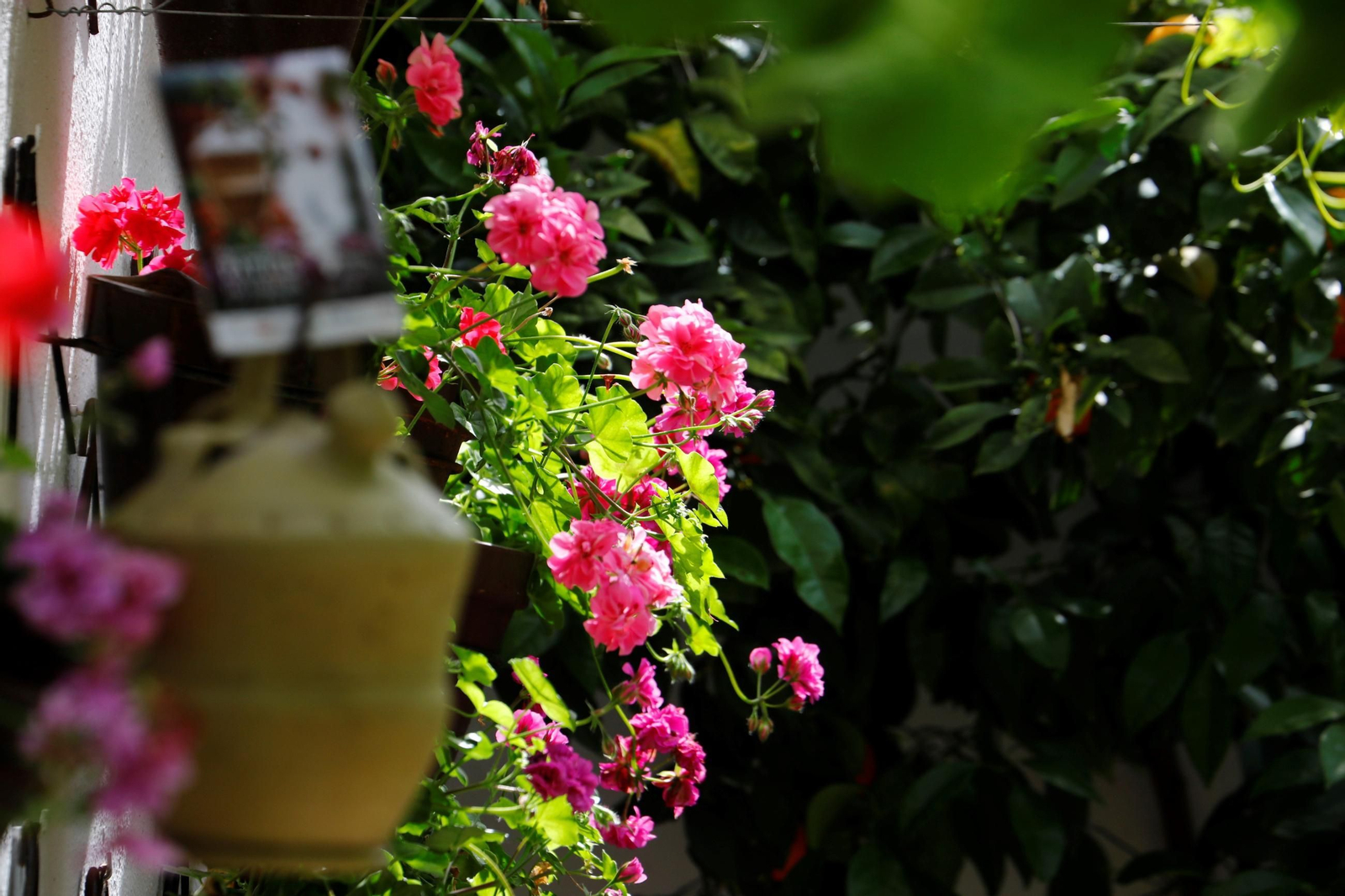Patio de las Religiosas Jerónimas de Santa Marta y Hermandad de la Misericordia.