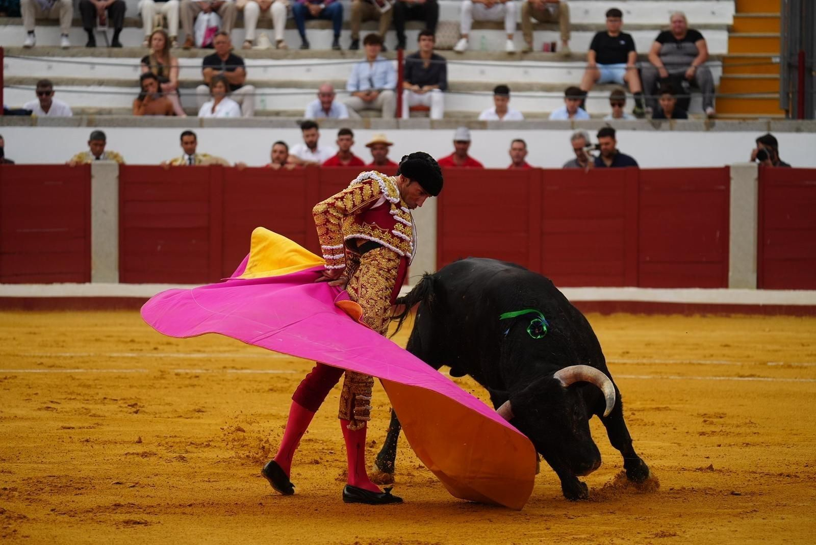 Las mejores imágenes de las corridas de toros de la Feria de Pozoblanco