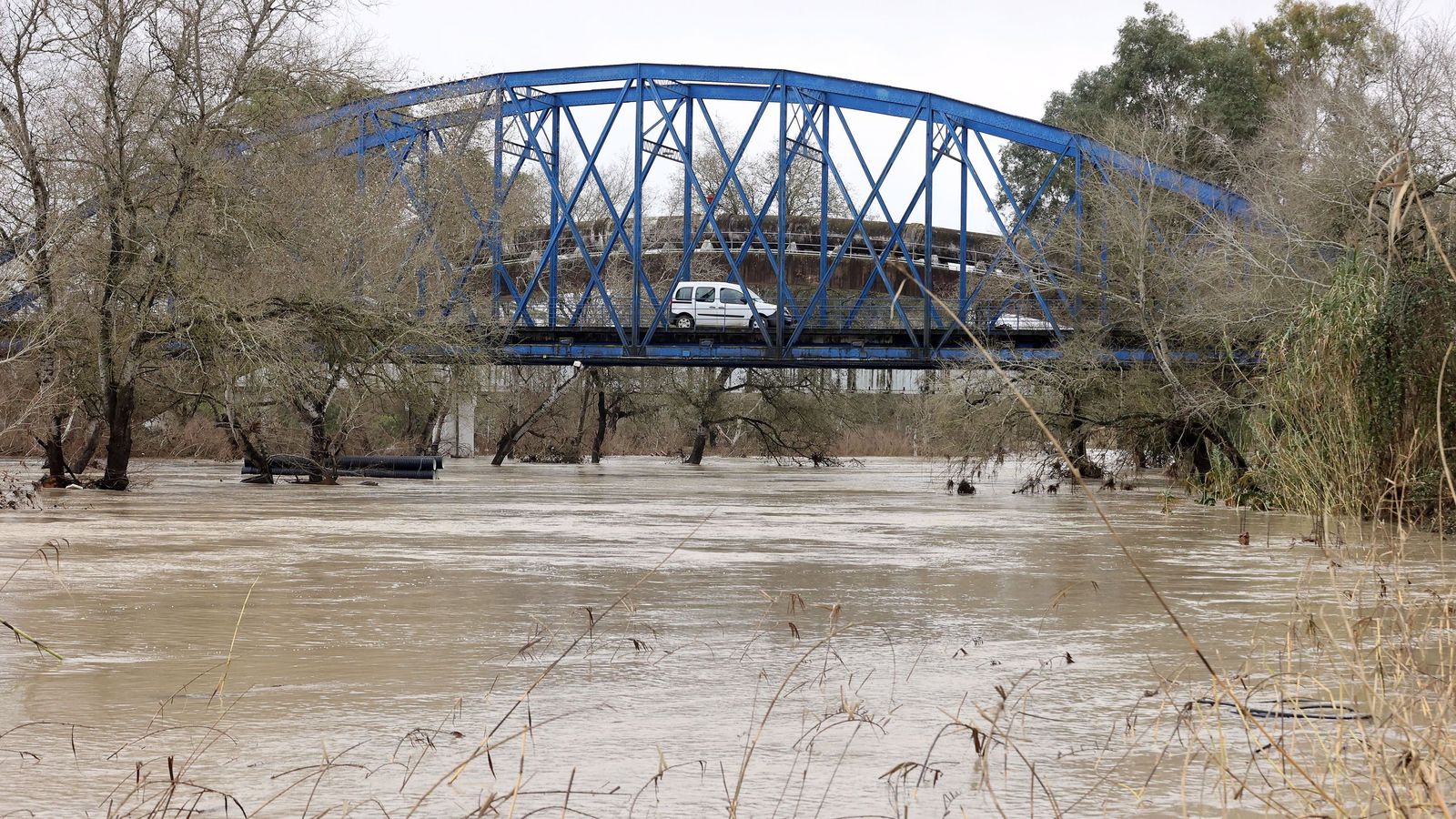 Ruta por la zona rural inundada de Jerez