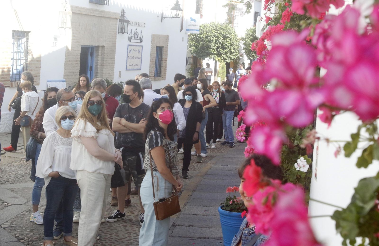 Colas para entrar en los patios de la calle San Basilio, en el Alcázar Viejo.