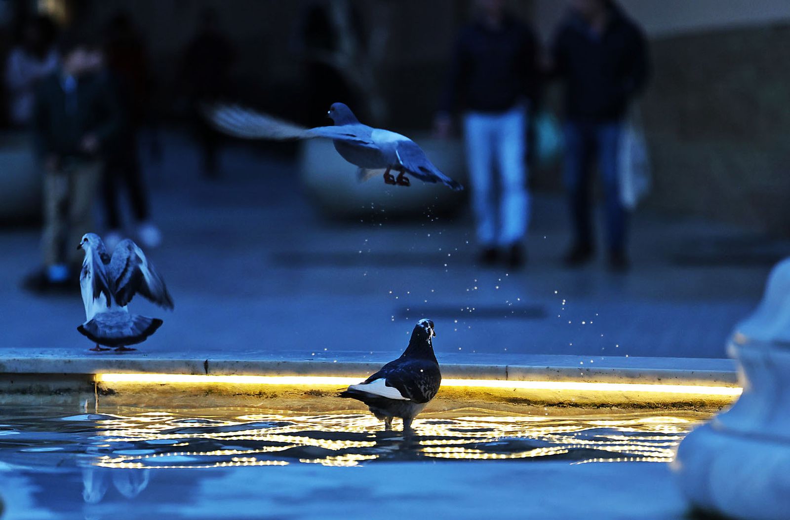 Las fotografías del lunes tarde en Huelva