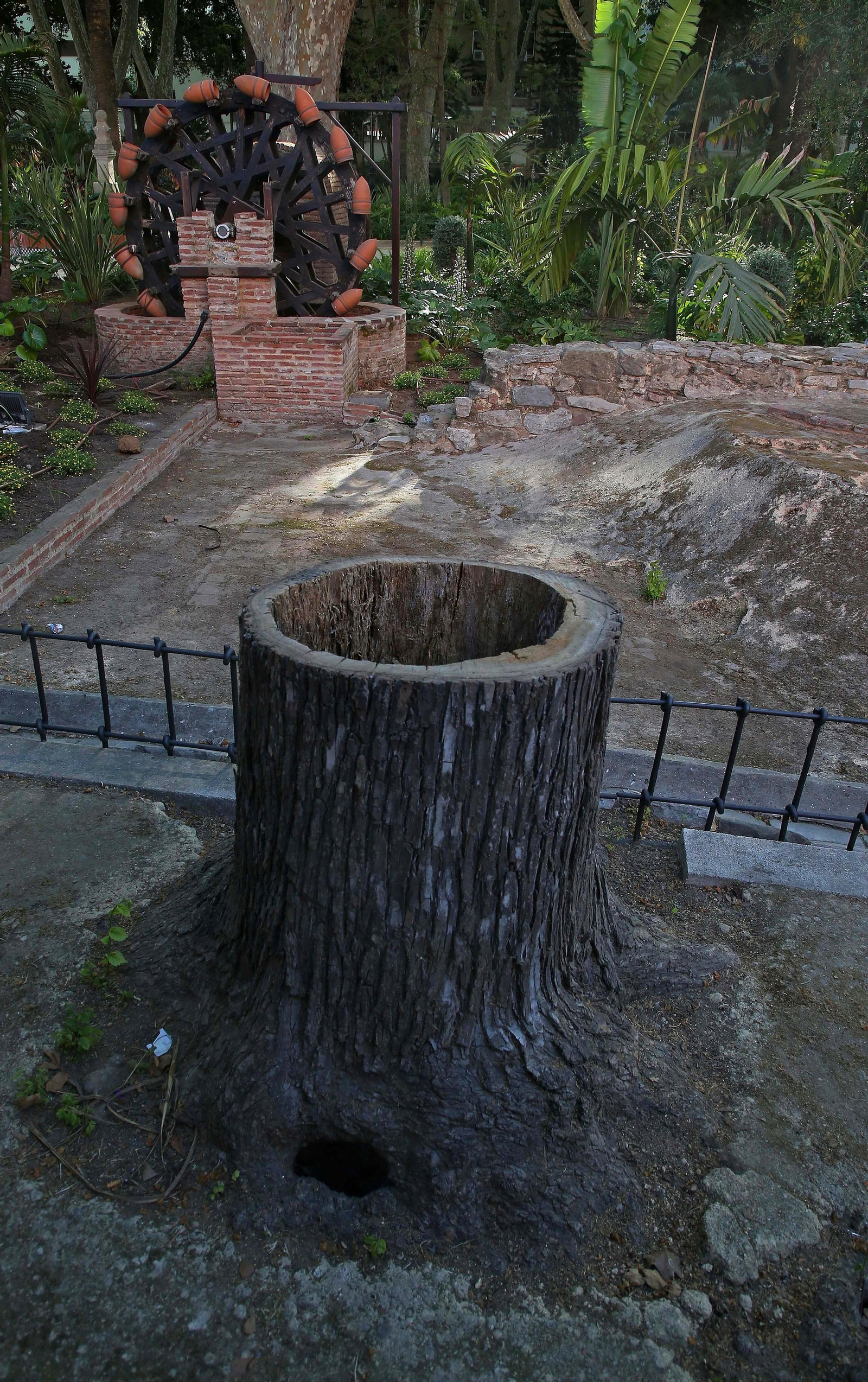 El parque María Cristina de Algeciras, listo para su reapertura