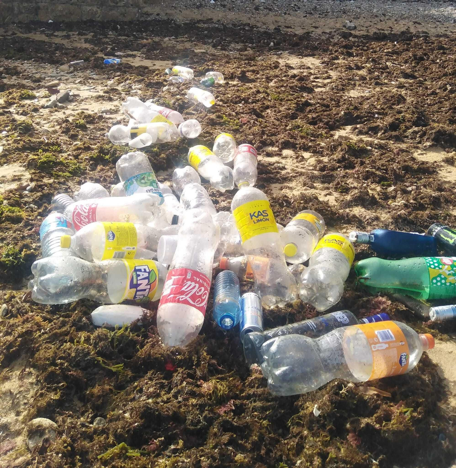 Más botelllas entre las algas.