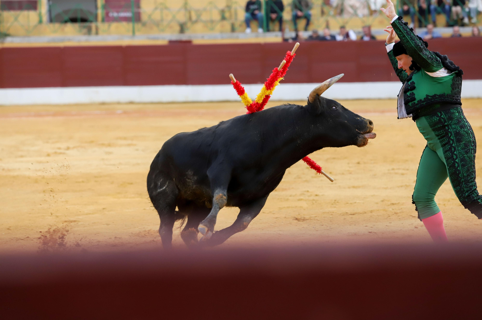 Imágenes de la novillada previa a la Semana Santa en la plaza de toros de La Línea