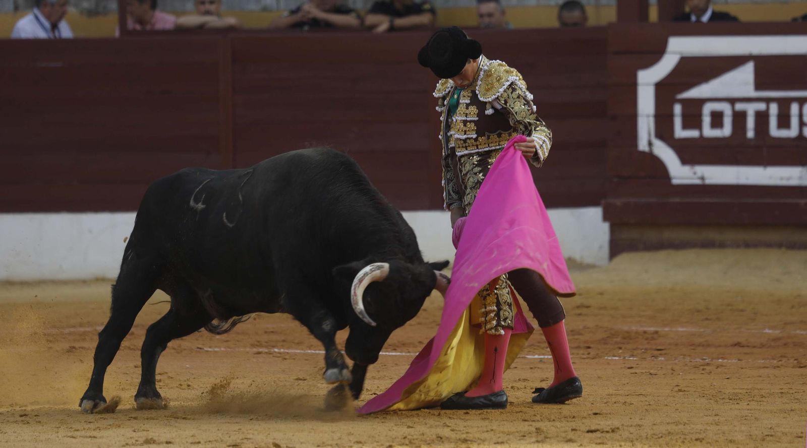 Fotos del triunfo de Manuel Roman y Javier Zulueta con la buena novillada de Núñez de Tarifa que abrió la Feria de La Línea