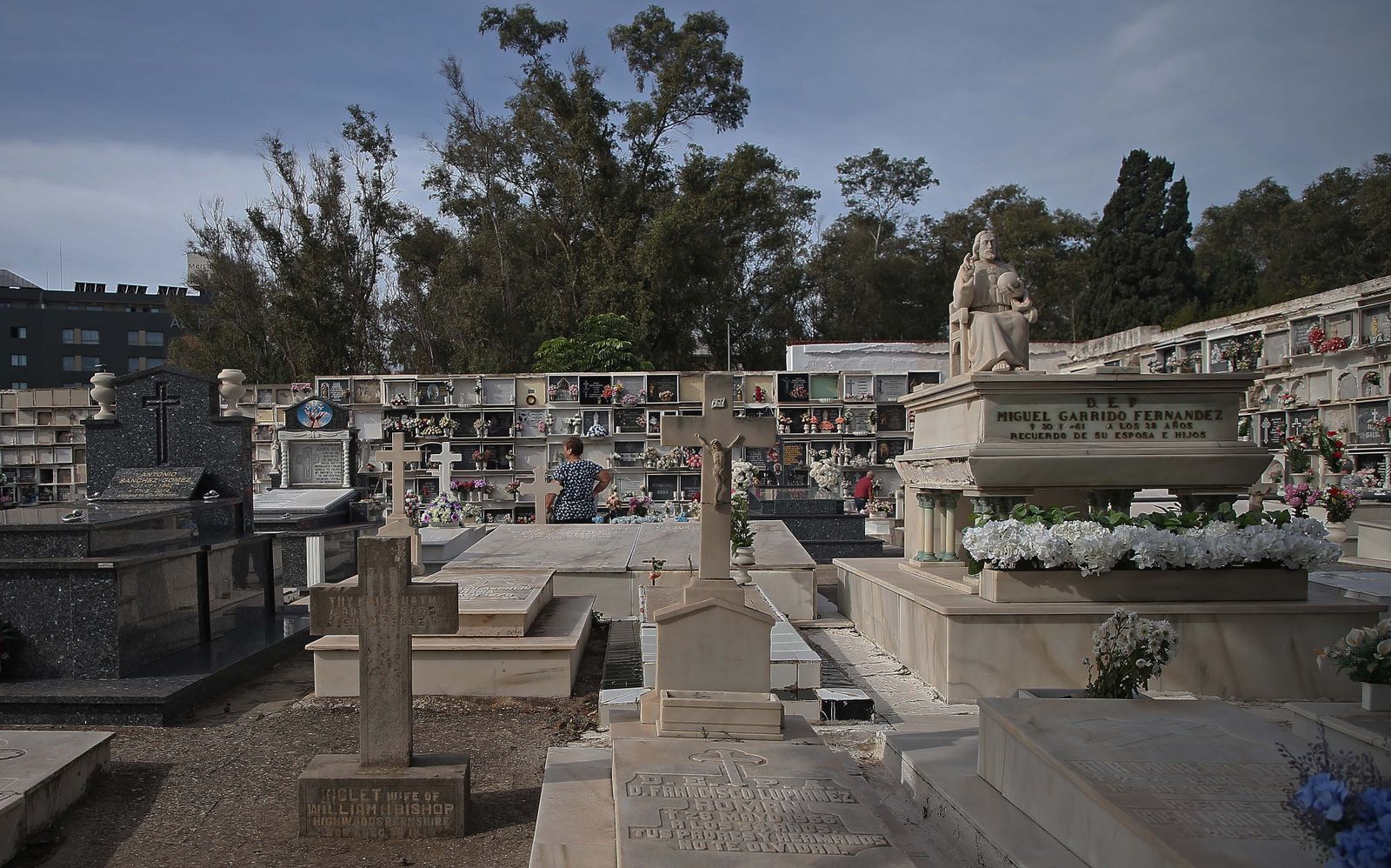 Fotos de los preparativos para los Tosantos en el cementerio de Algeciras