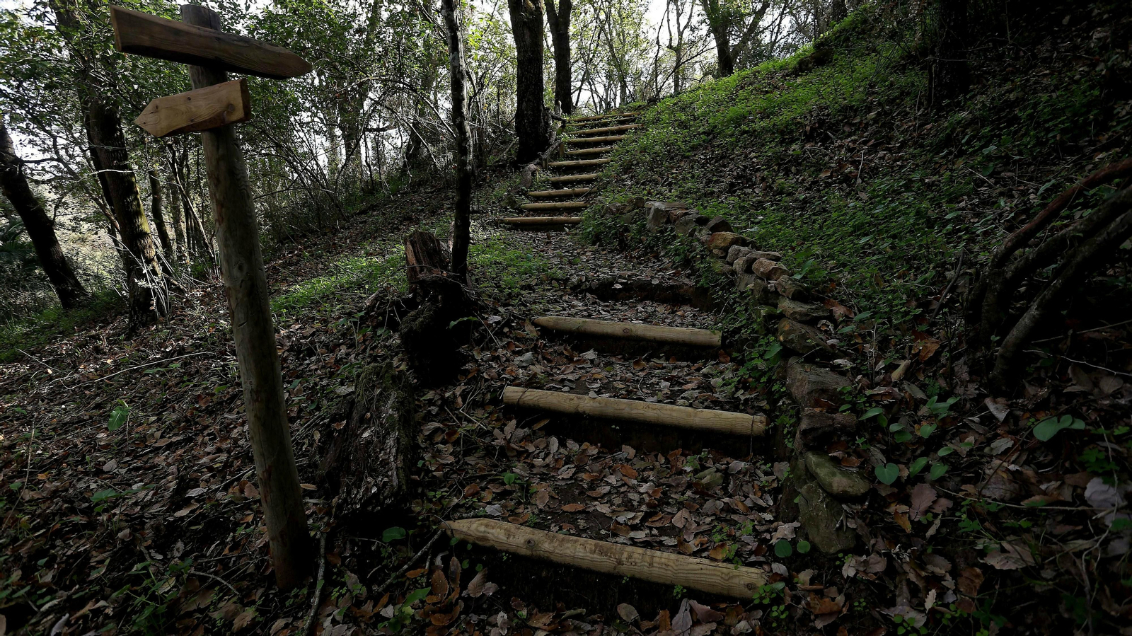 Las mejores fotos de la finca La Almoraima