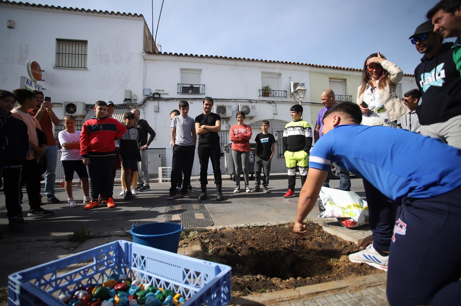 Imágenes la plantación de árboles en la Barriada de la Navidad por alumnos del Colegio Virgen de Belén