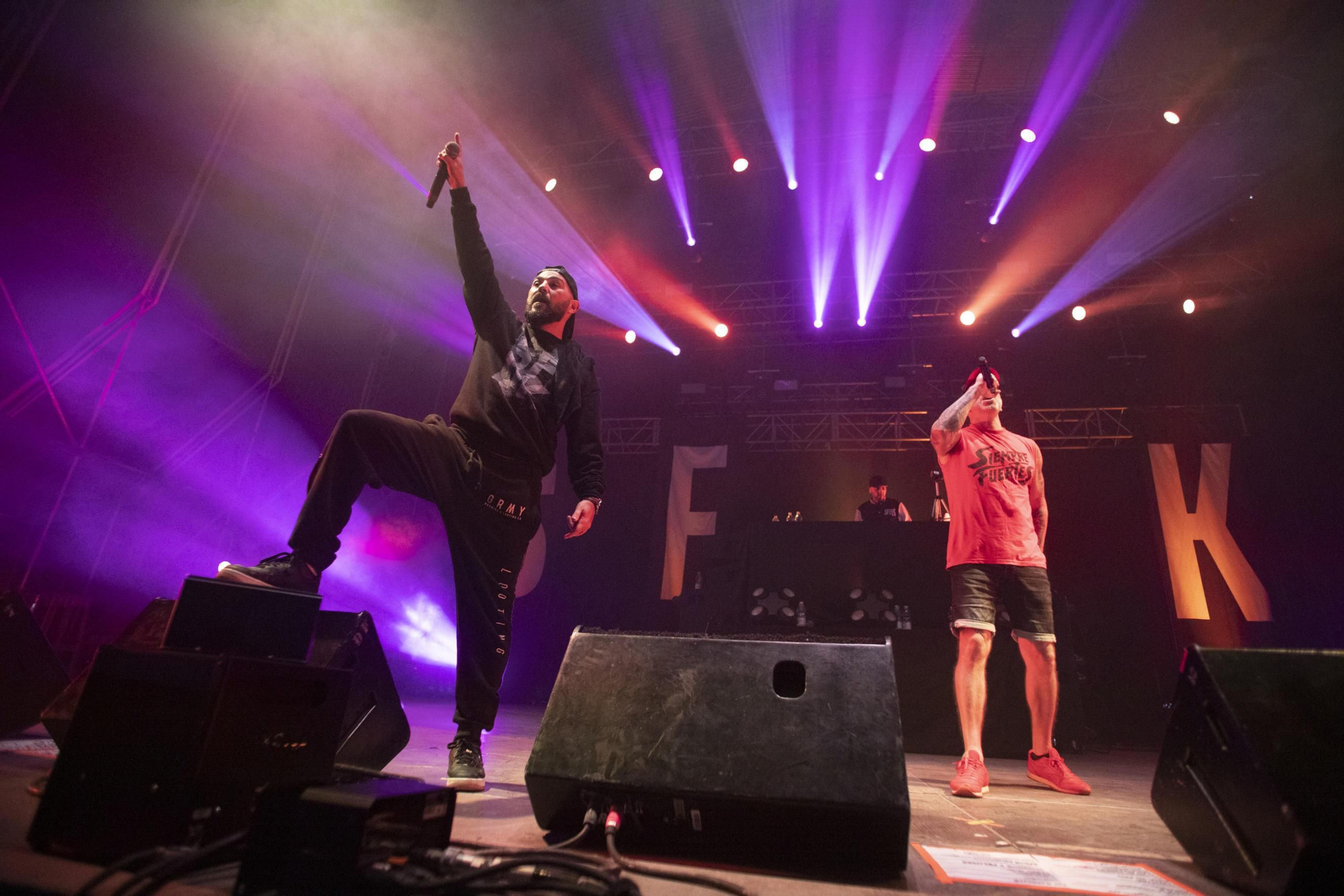 SFDK durante un concierto