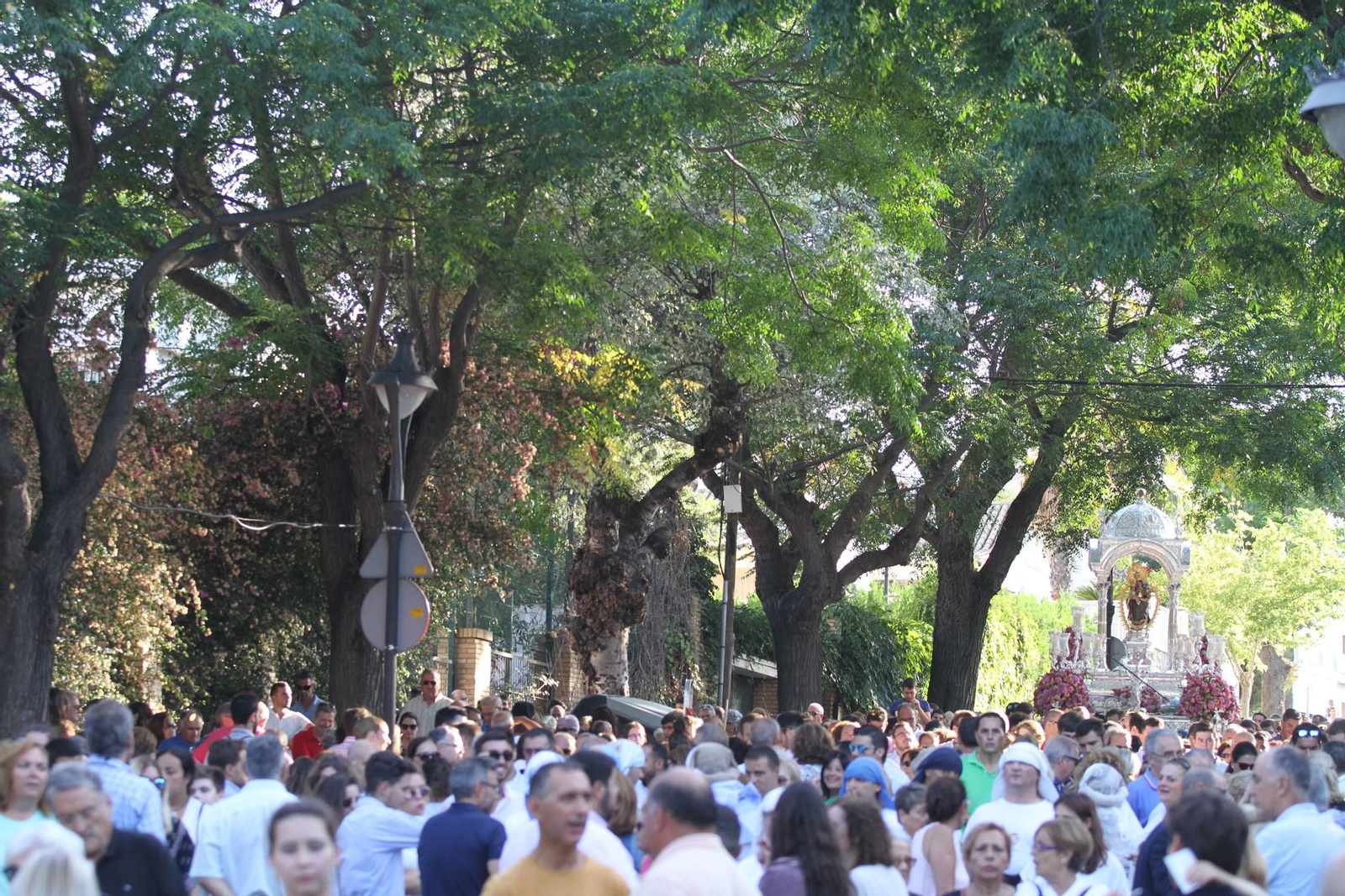 Imágenes de la bajada de La Cinta a la Catedral de La Merced