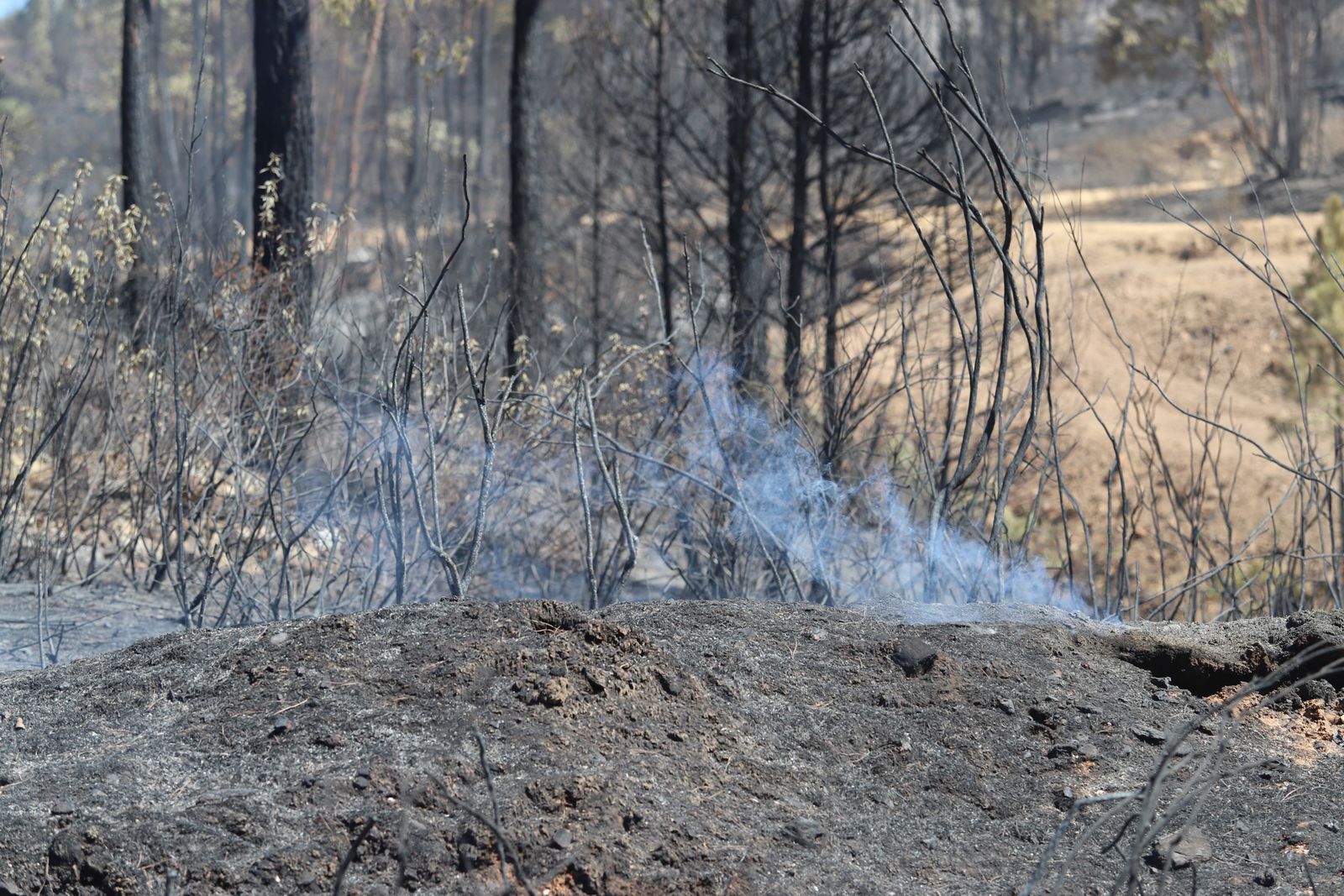 Imágenes de la devastación que deja a su paso el incendio de Almonaster la real.