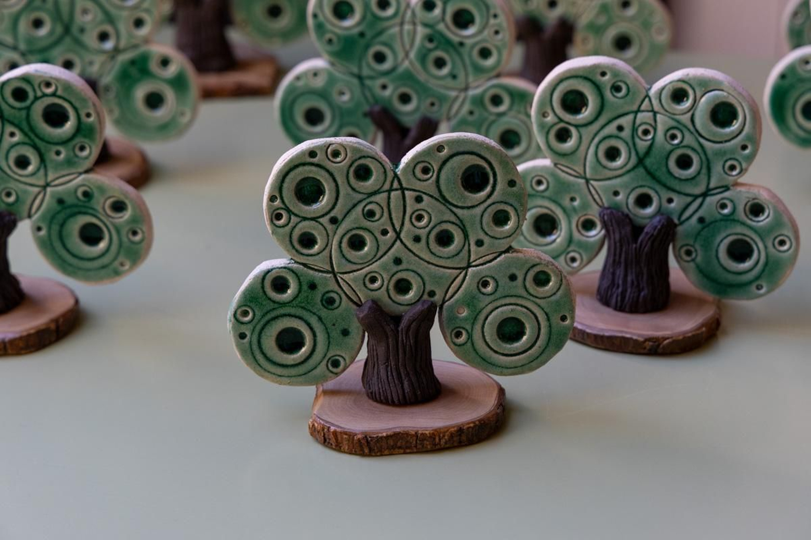 Concesión de la Bandera Verde otorgada por la Red Andaluza de Ecoescuelas al CEIP Jesús María de Jaén