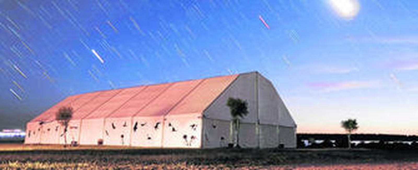 Tres días para asomarse a la riqueza de Doñana