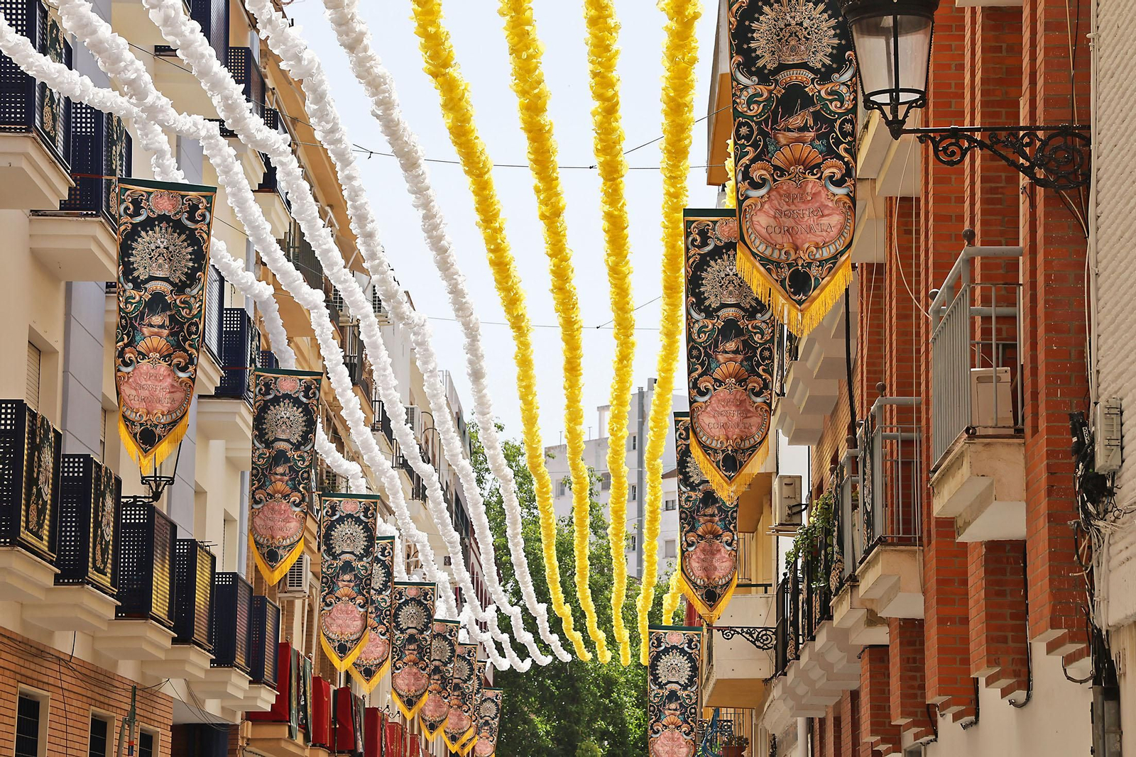 Imágenes de las calles por donde discurrirá la procesión de La Esperanza engalanadas con los colores del Vaticano