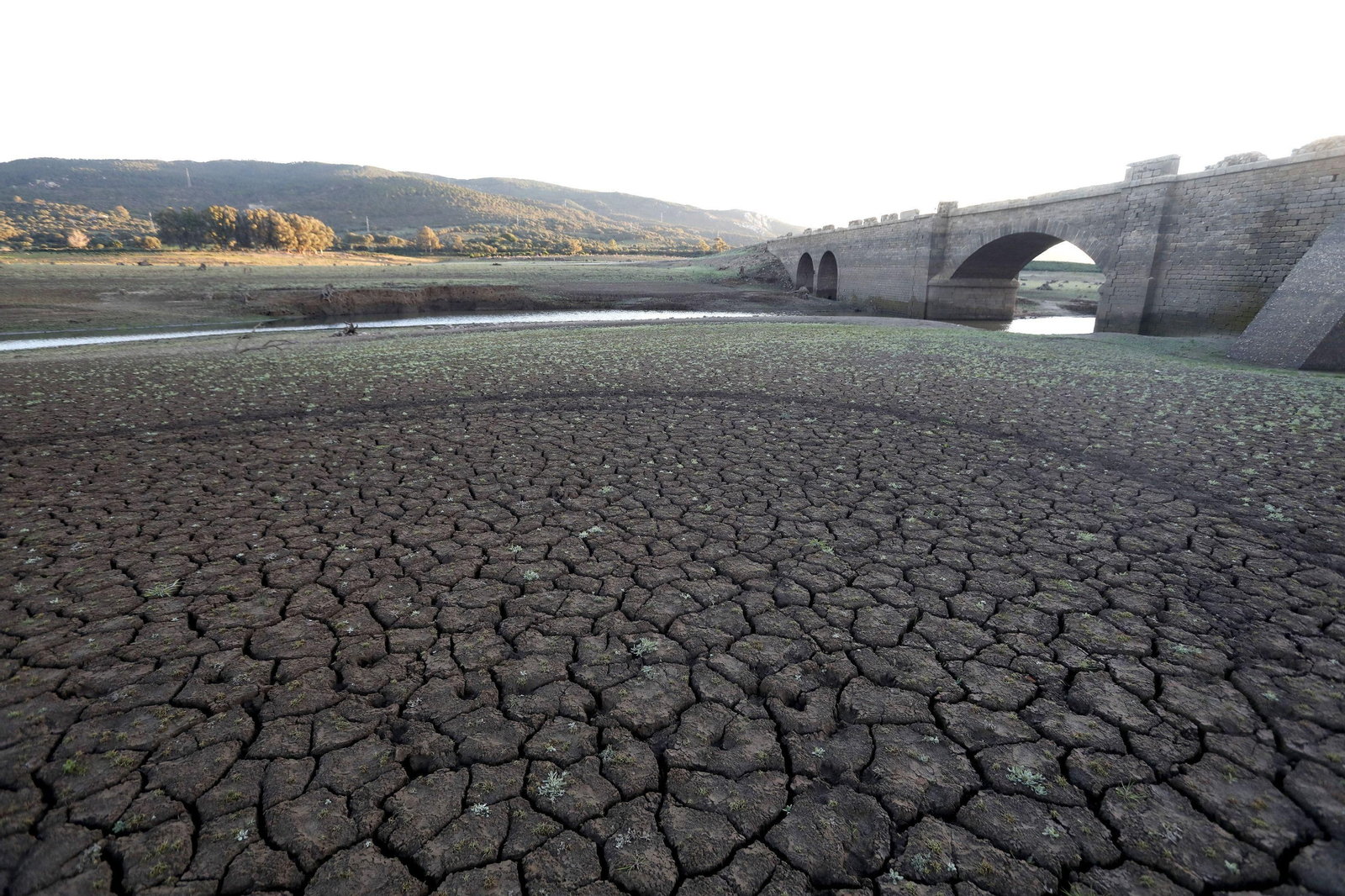 El embalse de Charco Redondo, en una imagen reciente.