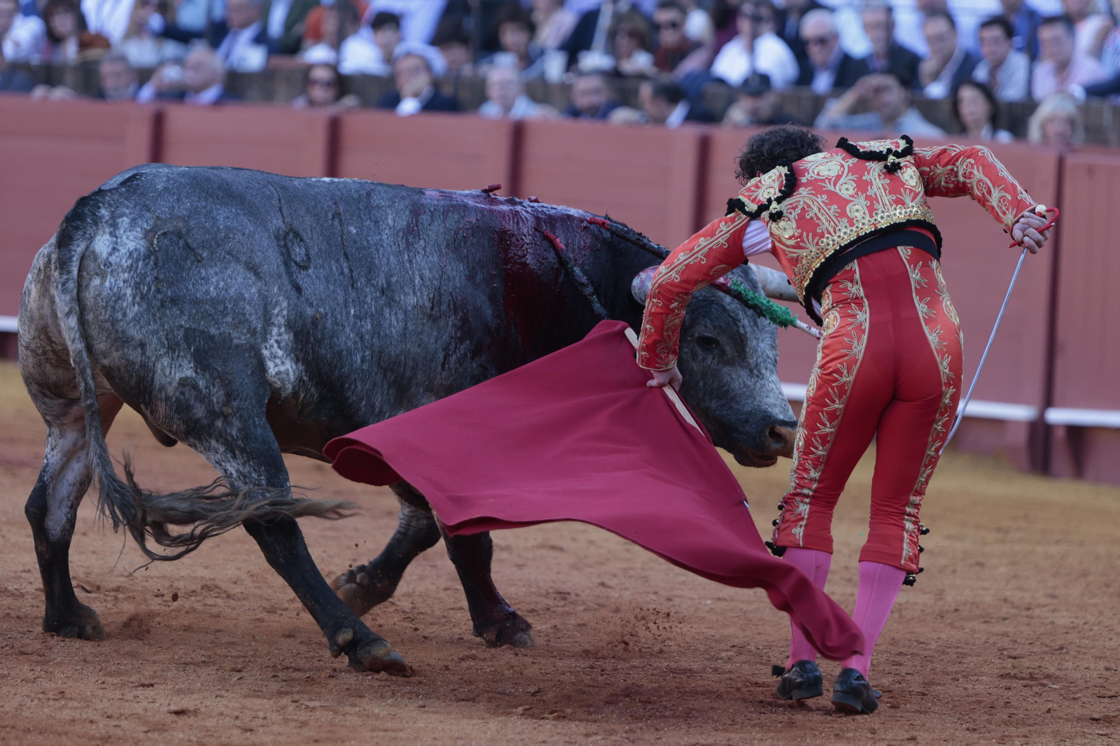 Las imágenes del festejo