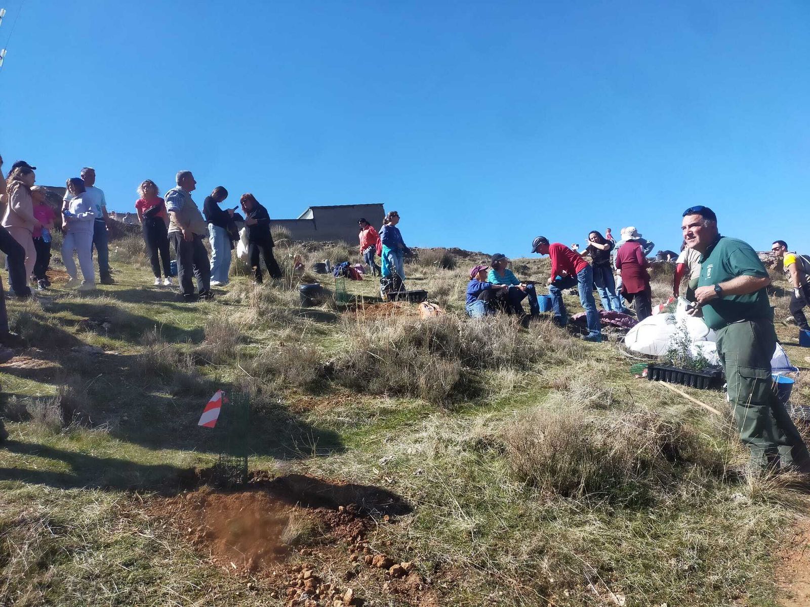 Imagen de la reforestación este fin de semana.