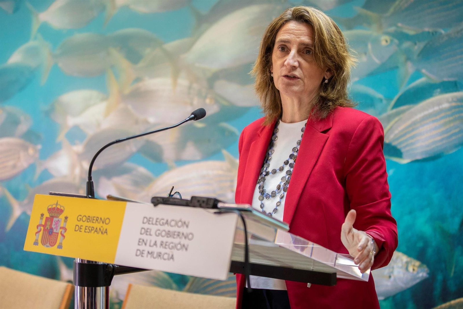 La ministra Teresa Ribera