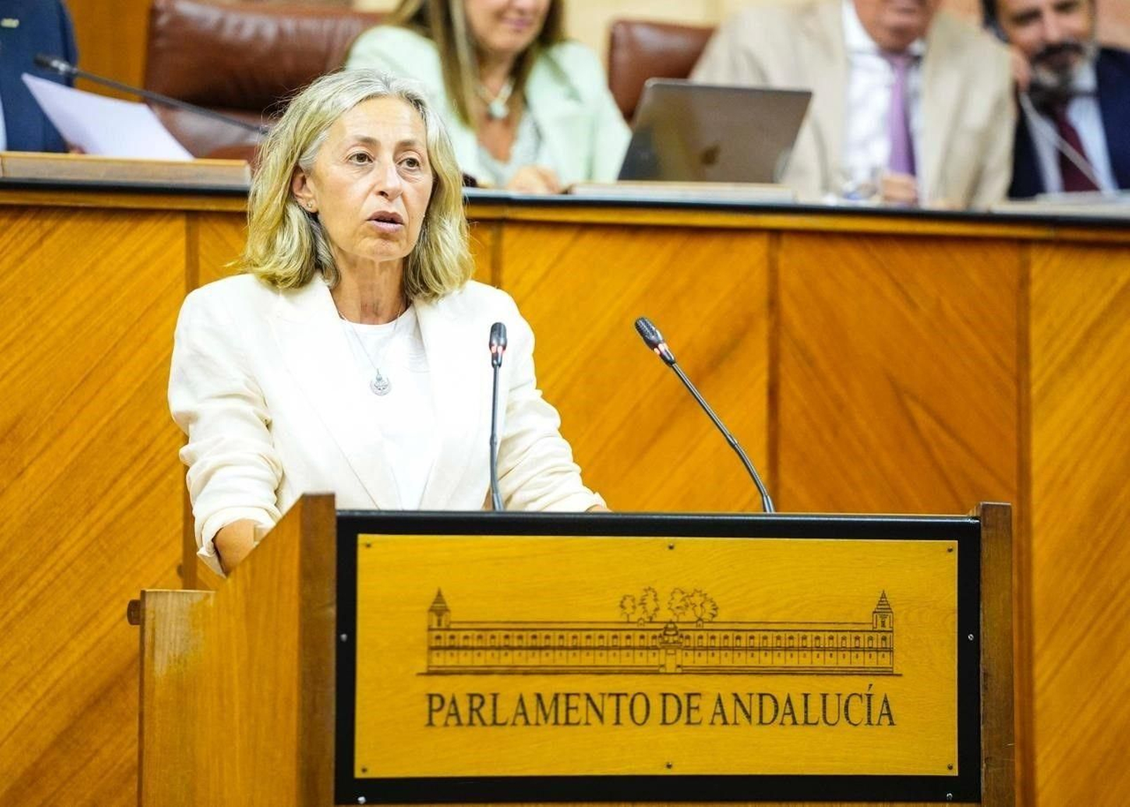 La consejera de Salud, Rocío Hernández, en la tribuna de oradores del Parlamento andaluz.