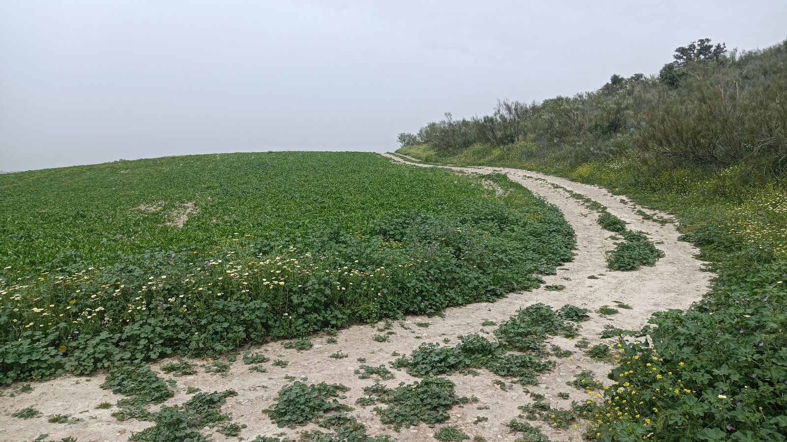 Enfilamos la Vereda de La Boyera