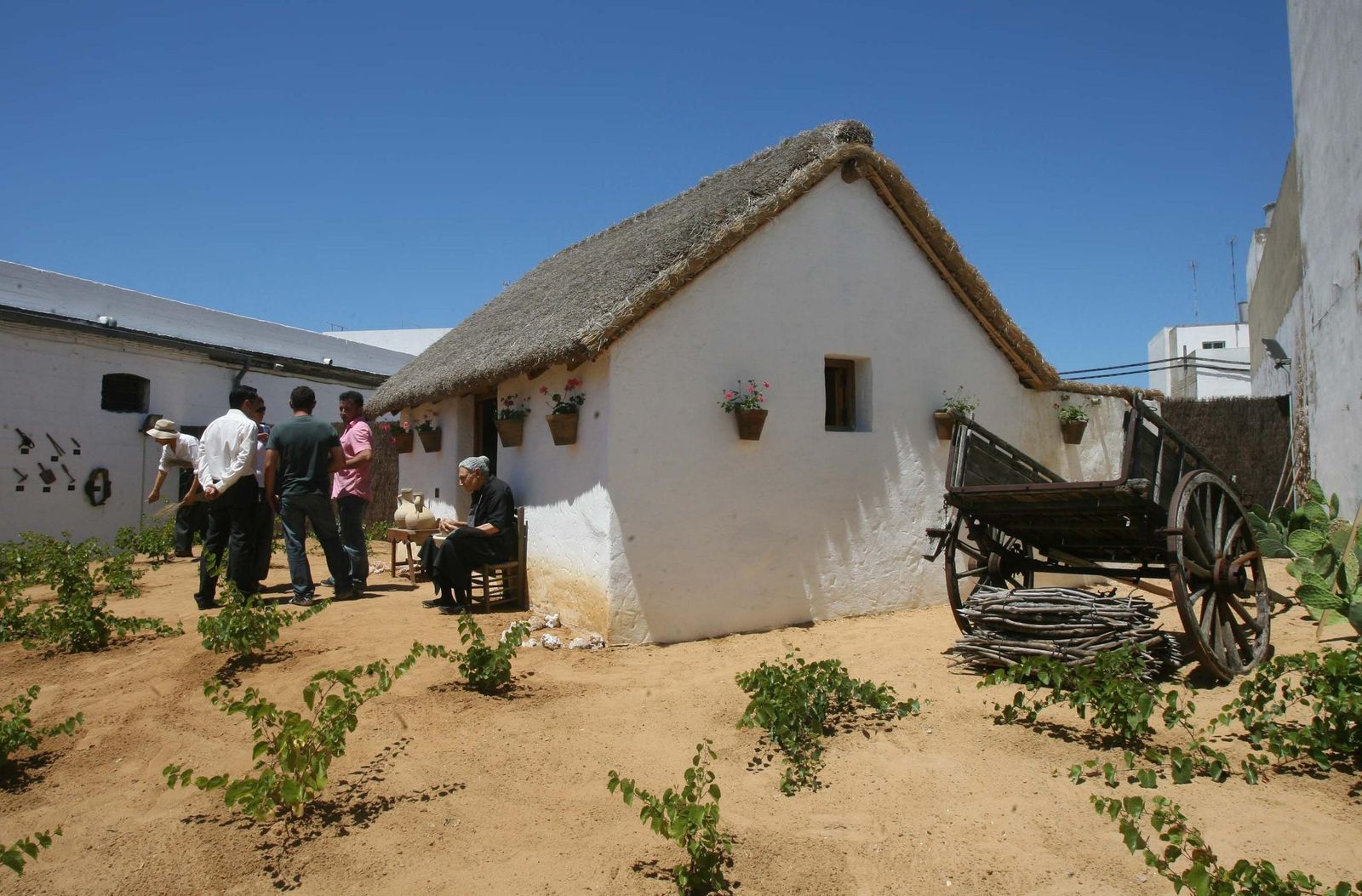 Museo del Moscatel de Chipiona