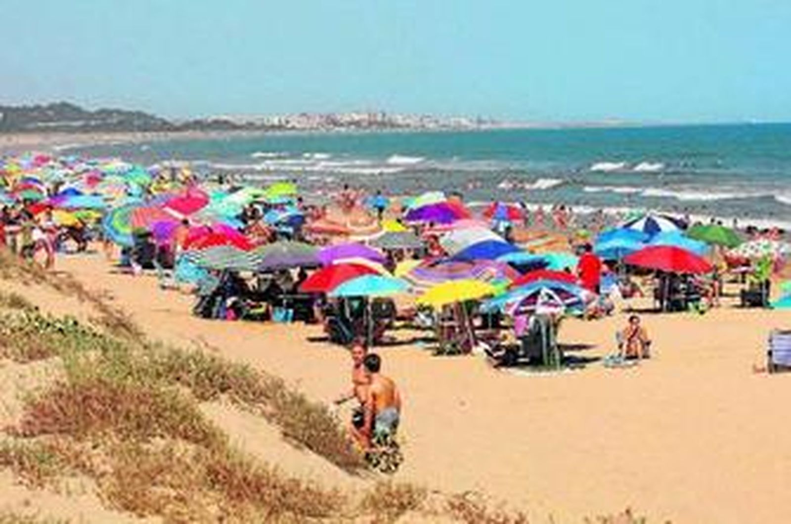 El paraíso del Coto de Doñana