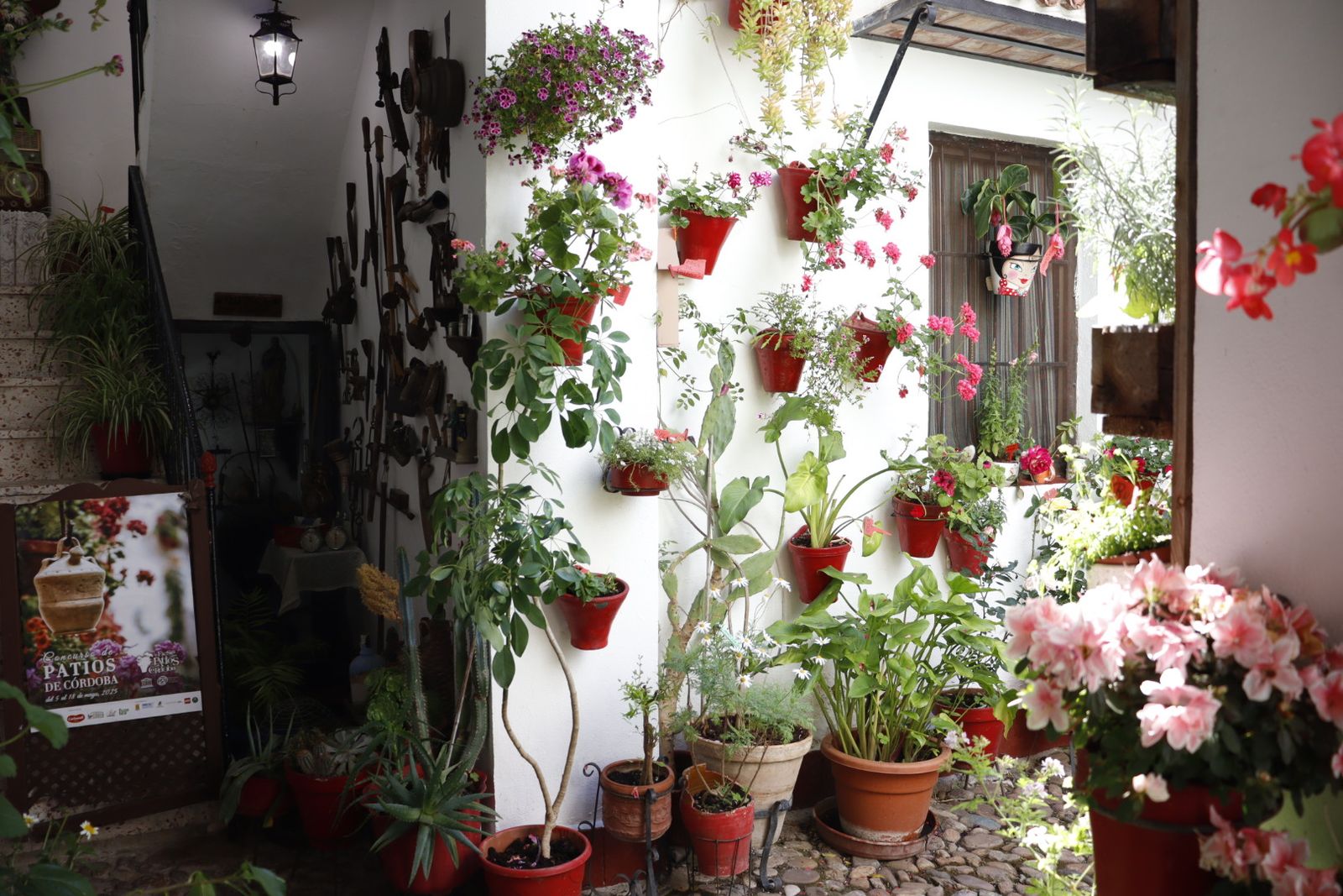 Ruta de los patios de San Lorenzo