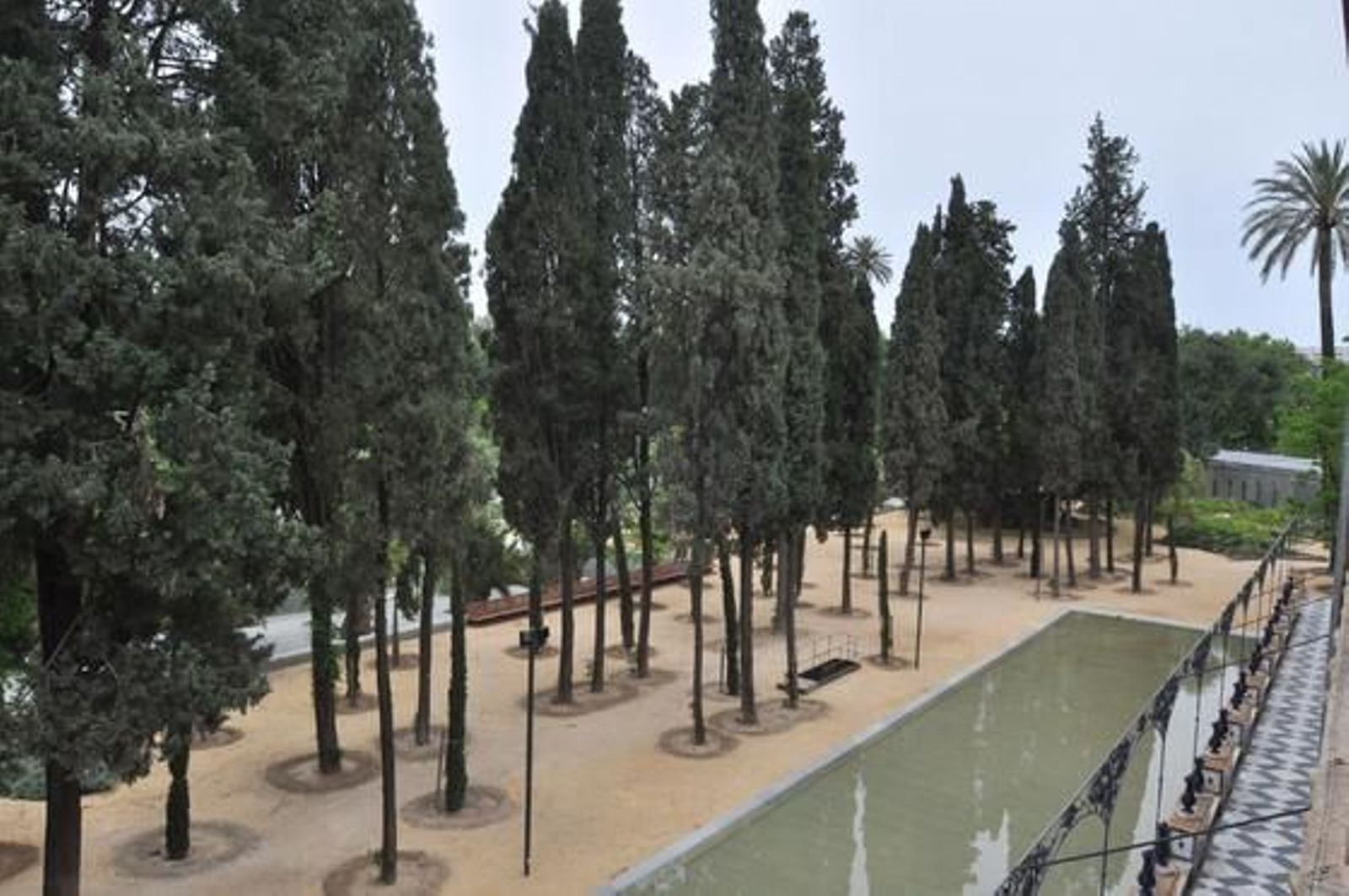 Foto: Manuel Gómez