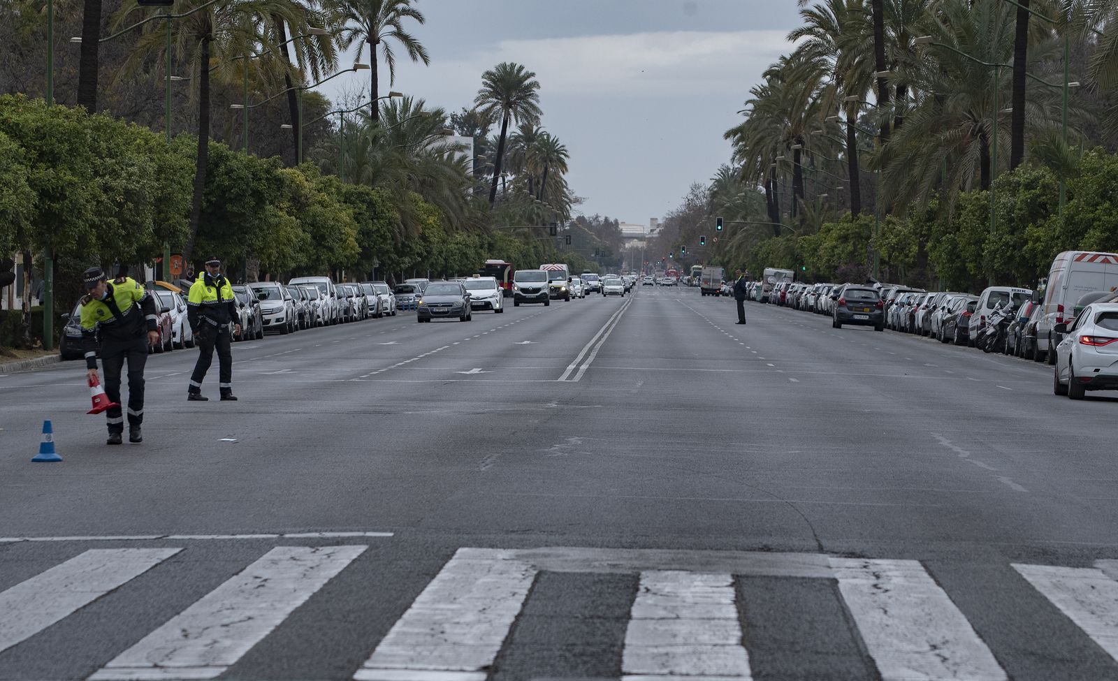 Las imágenes de la manifestación de agricultores de toda Andalucía en Sevilla