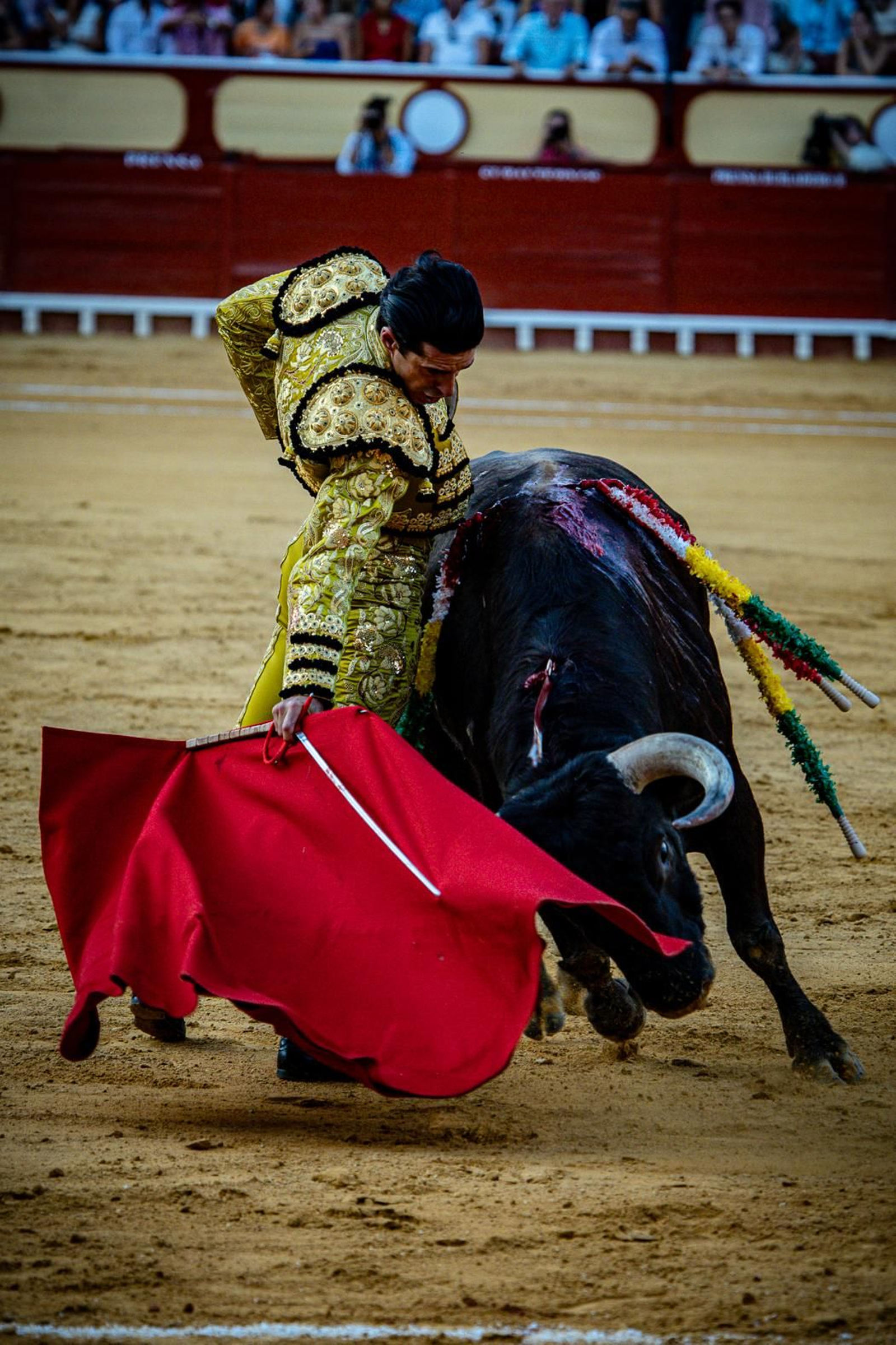 Las imágenes de la corrida de toros en El Puerto: Morante, Talavante y Juan Ortega