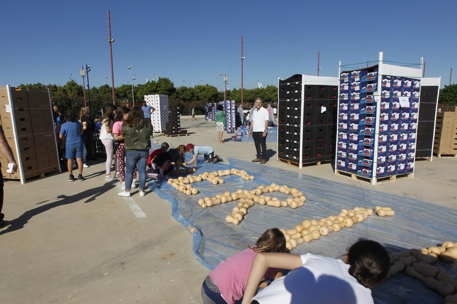 Fotogalería Récord Guinness Corazón Hortalizas Almería