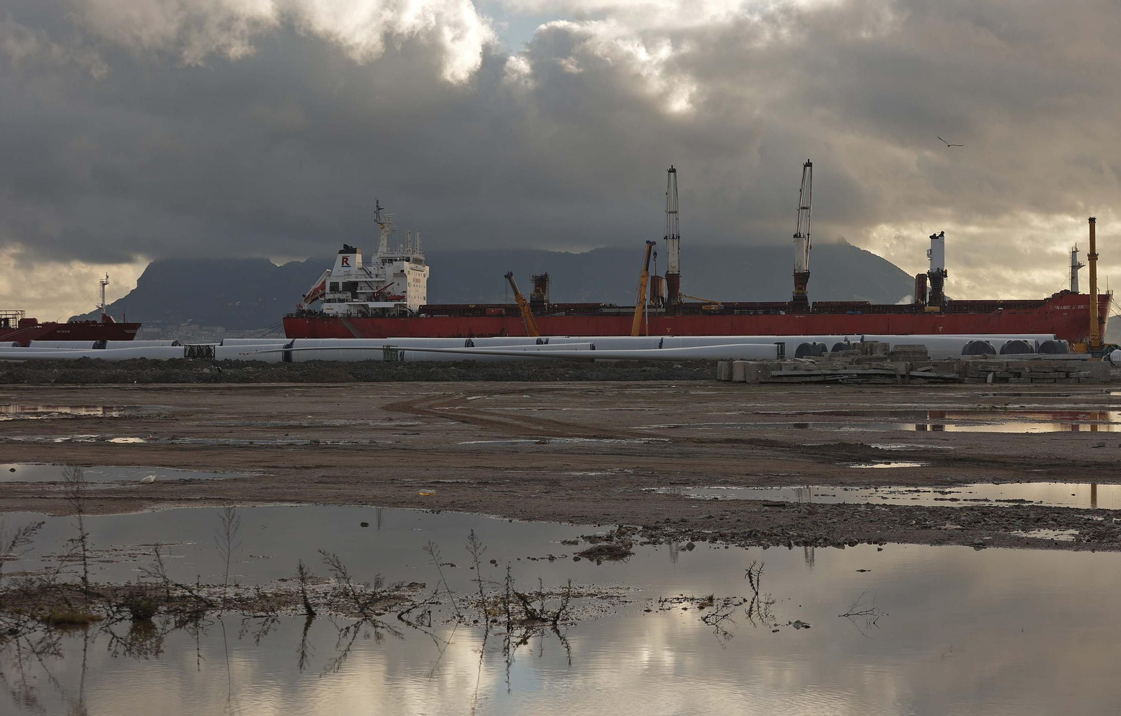 Los aerogeneradores descargados en el muelle de Isla Verde Exterior del Puerto de Algeciras, en imágenes