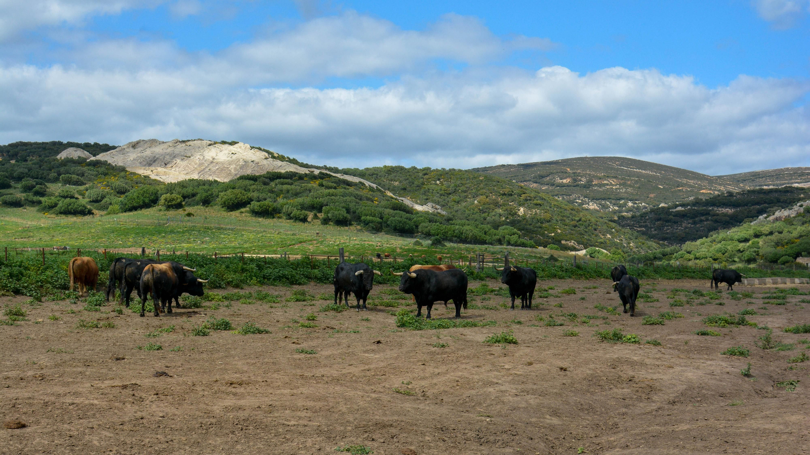 Finca La Palmosilla y la entrevista a Javier Nuñez