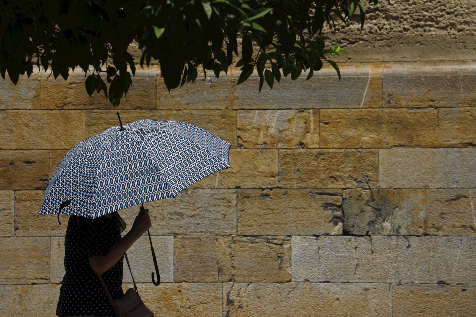 Una persona se protege con un paraguas en Córdoba.