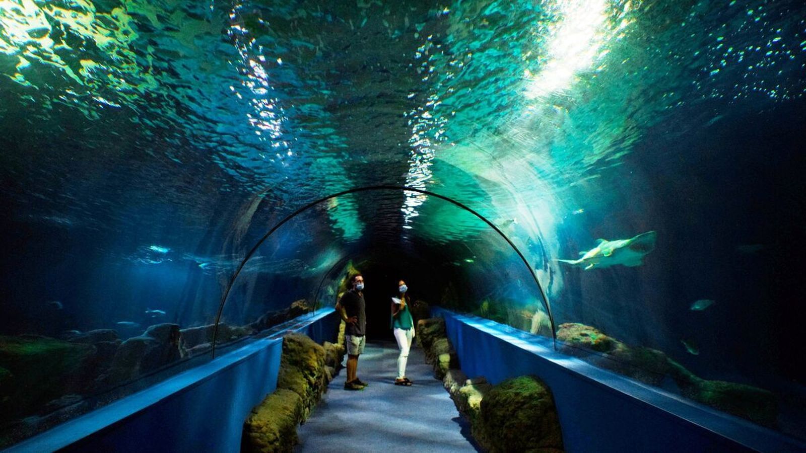 Acuario de Almuñécar