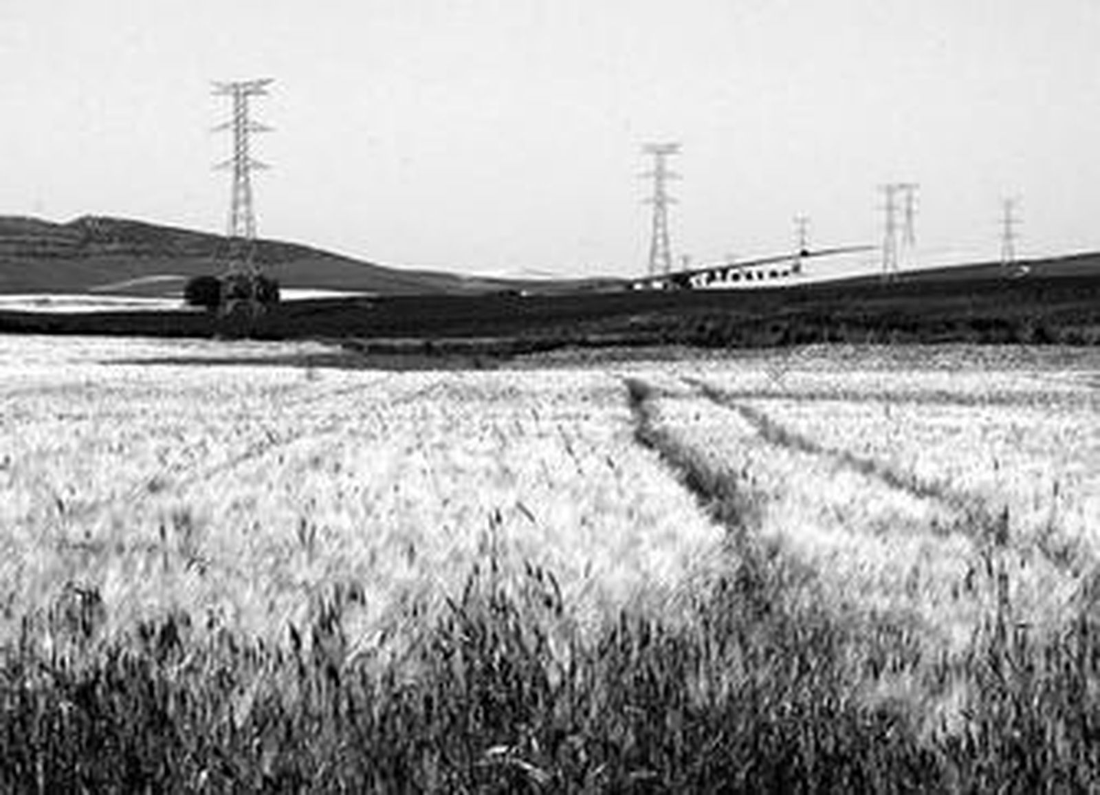 Zona de Zorrilla, en la carretera a Gibalbín, posible emplazamiento de un parque eólico.