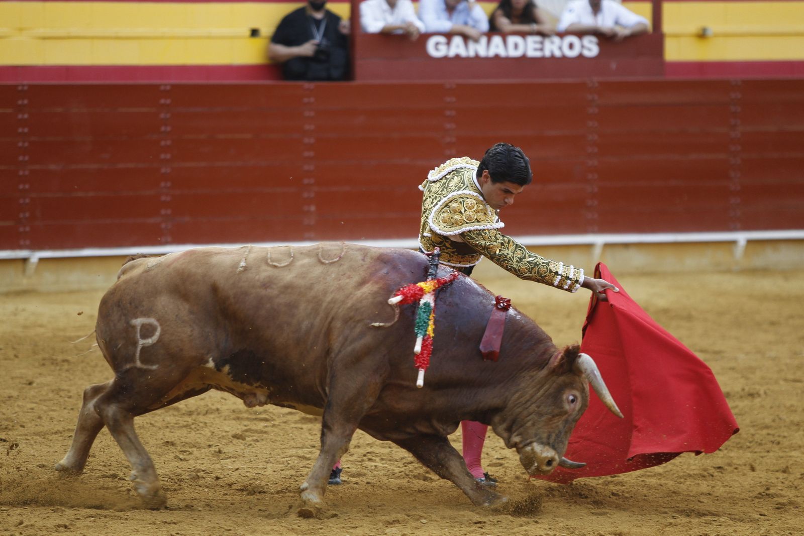 Fotogalería corrida toros Feria Santa Ana-Roquetas de Mar-El Juli-Perera-Aguado