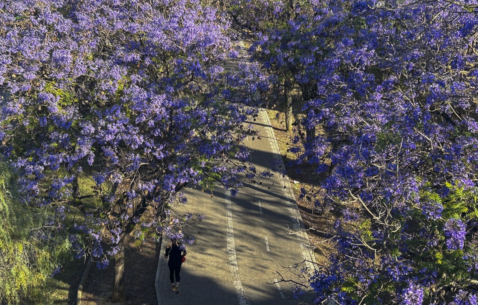 Primavera en Sevilla