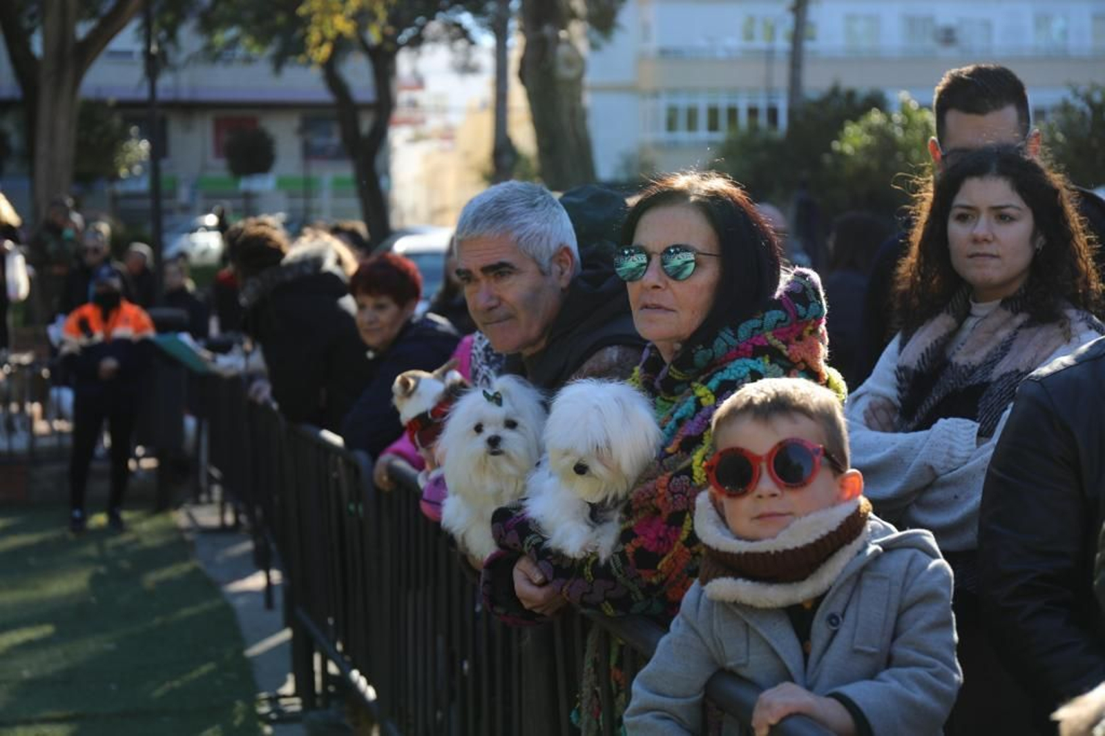 Así ha sido la celebración de San Antón en San Fernando