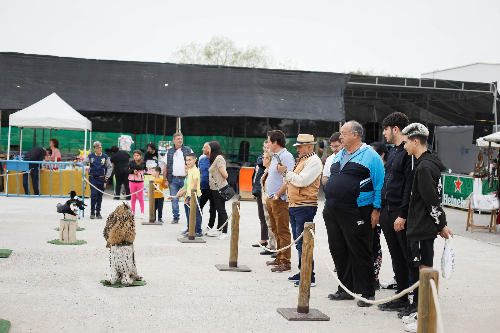 Galería de la Feria  de ganado en Tarambana