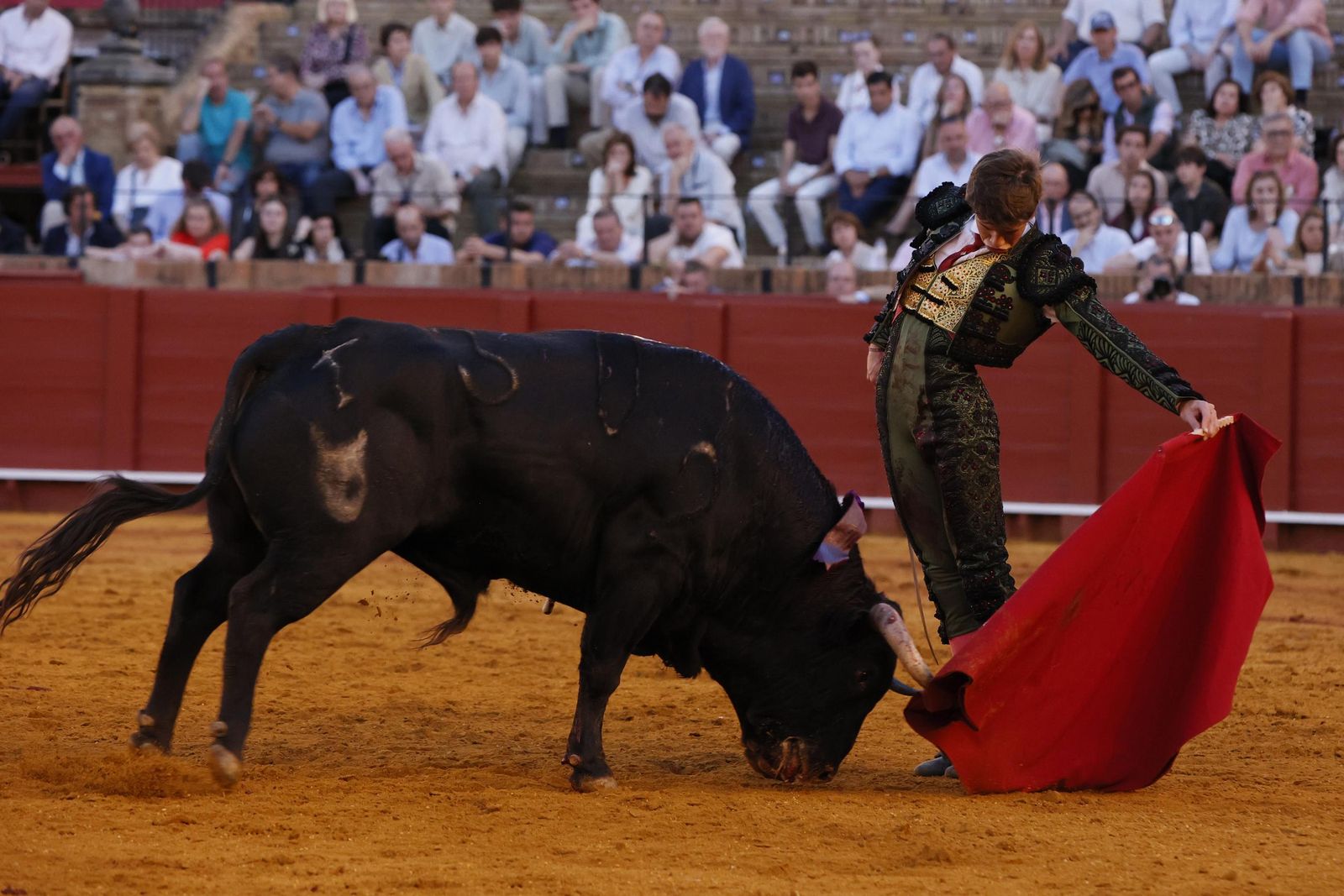 Las imágenes de la Novillada