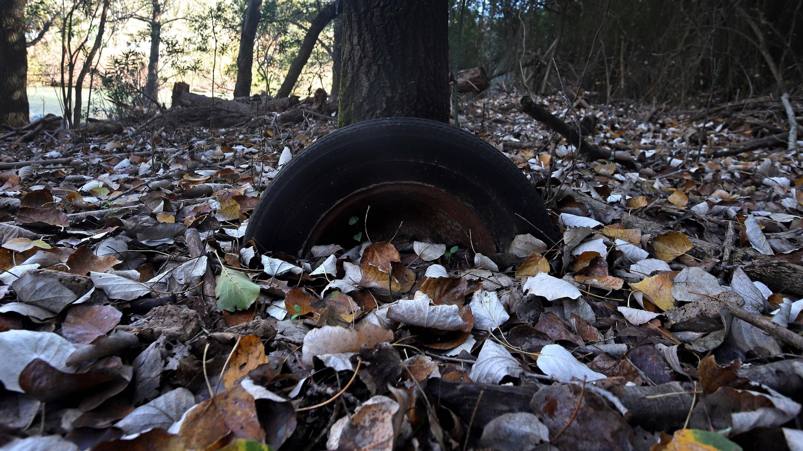 Las mejores fotos del Poblado del Corchado en San Pablo de Buceite