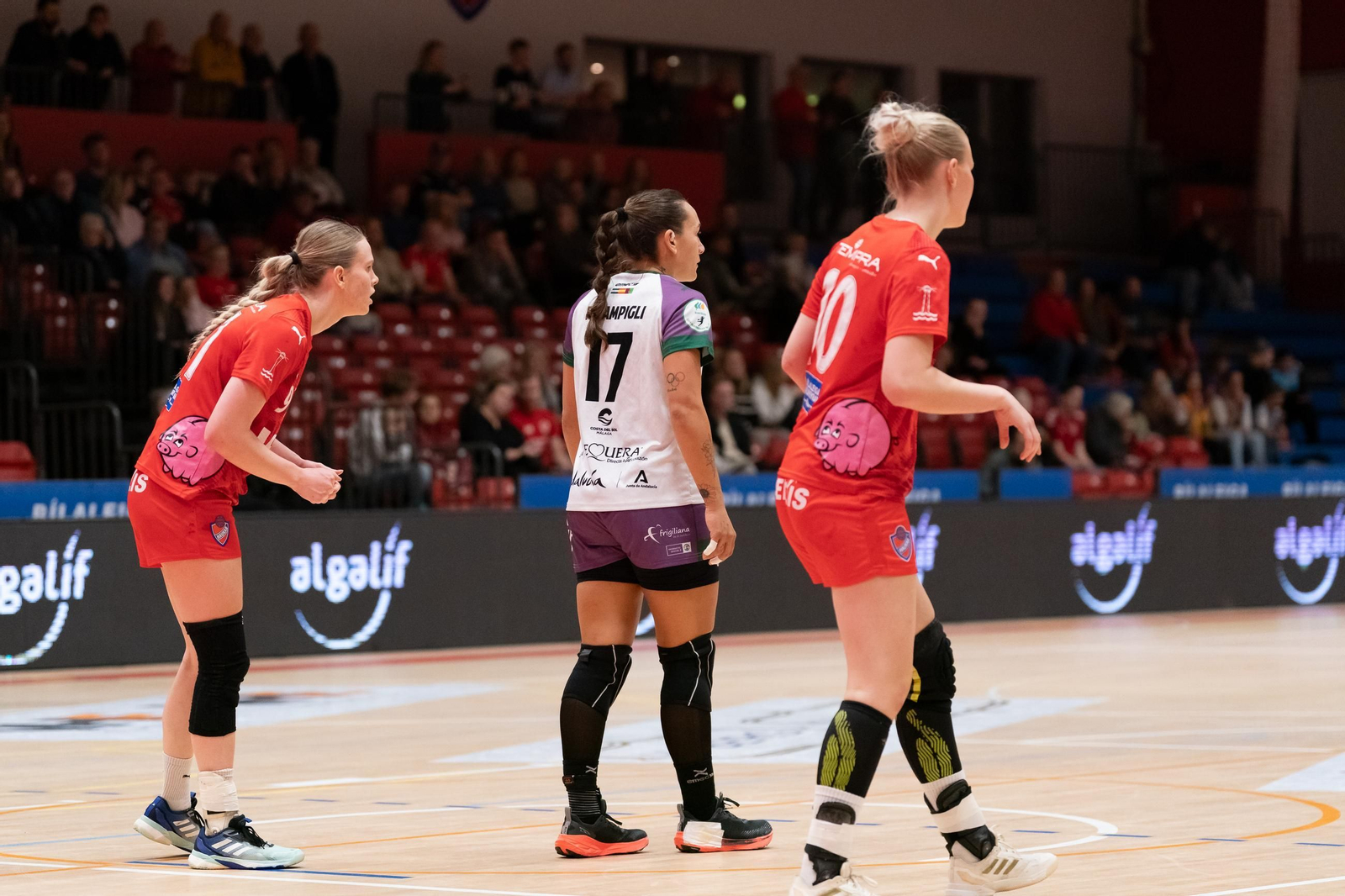 Haukur-Costa del Sol, en fotos